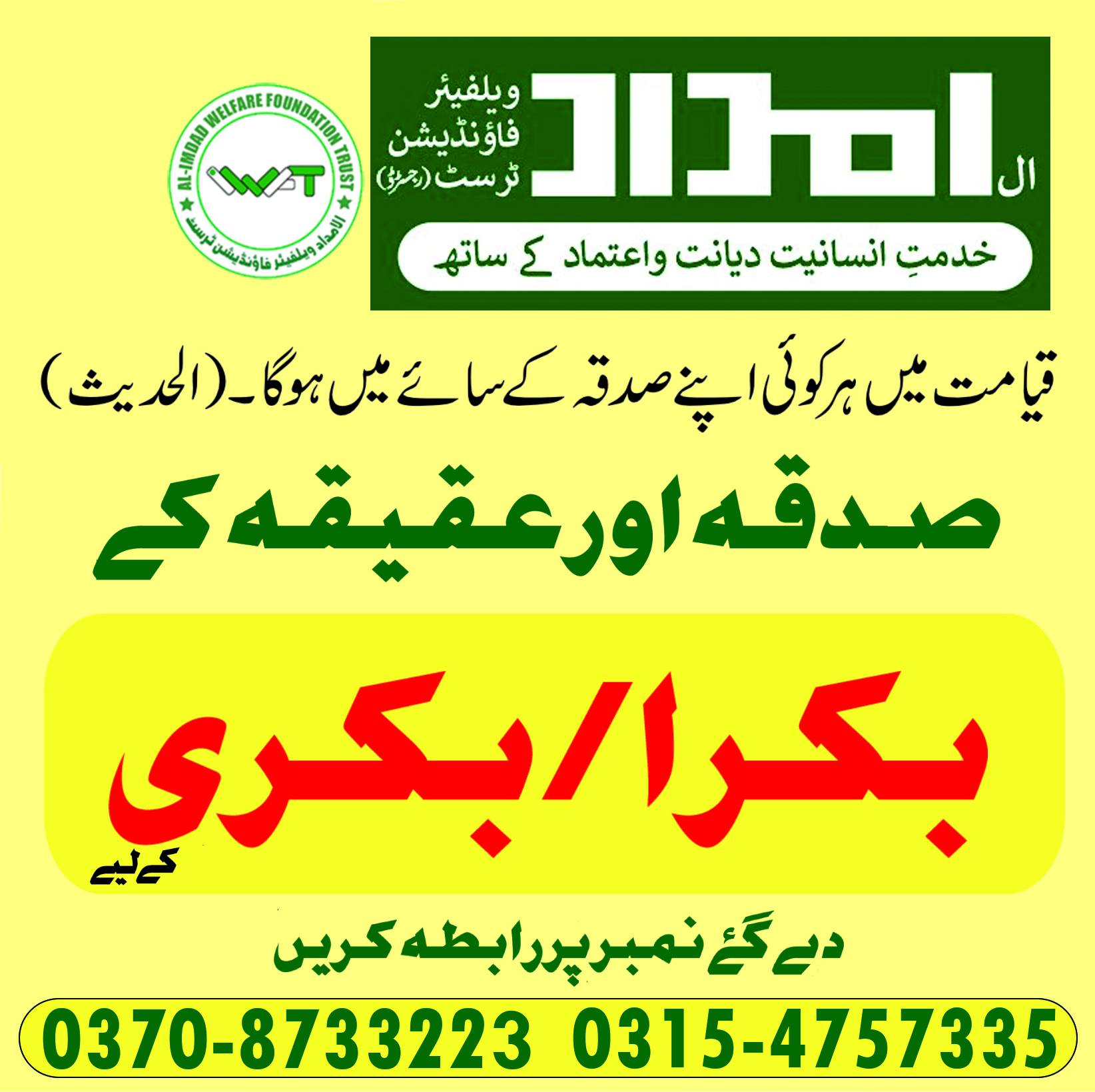 Impact Photo other-33